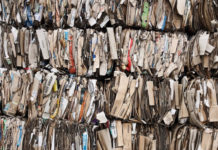 Carta e cartone, da rifiuto a risorsa: le tappe di una rivoluzione lunga 40 anni