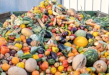 Utilitalia: ogni anno viaggiano 3,8 milioni di tonnellate di rifiuti, servono più impianti