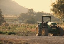 Lombardia, agricoltura: 37 milioni di euro alle aziende green lombardia agricoltura 37 milioni aziende green
