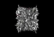 Arte Laguna Prize e Cial premiano Silvia Cerioli tra 107 candidature globali Arte Laguna Prize Cial