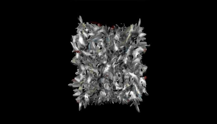 Arte Laguna Prize Cial Arte Laguna Prize Cial