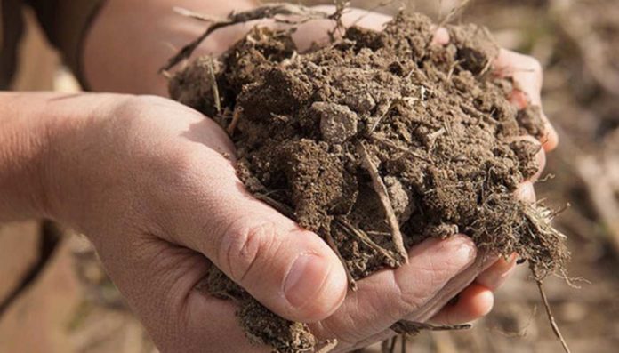 Consumo suolo Lombardia 2024 ENEA identifica nuovi indicatori genetici per valutare la salute dei suoli agricoli