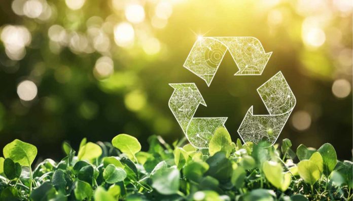 Roma Municipio II EcoGive