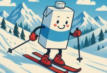 Vacanze di Natale e raccolta differenziata: regole diverse da Comune a Comune Vacanze Natale raccolta differenziata regole Comune