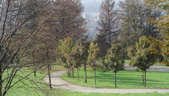 Verde urbano Torino Piano forestale aziendale 2020-2035