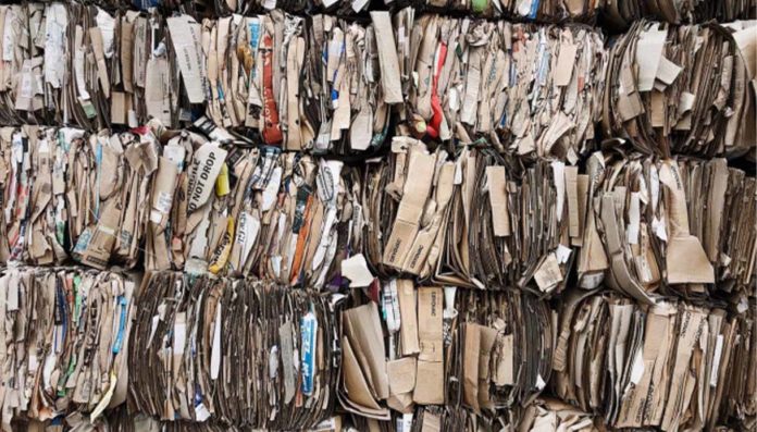 campania produzione rifiuti differenziata