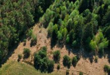 Lazio, fondi per il rischio idraulico del canale Palocco nel Municipio X di Roma Lazio, fondi per il rischio idraulico del canale Palocco nel Municipio X di Roma