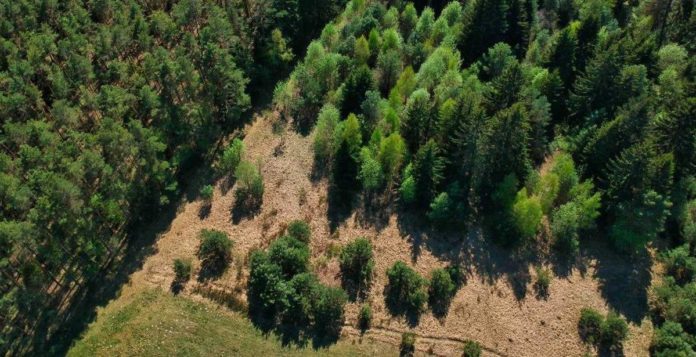 Lazio, fondi per il rischio idraulico del canale Palocco nel Municipio X di Roma