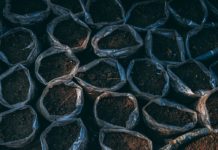 Giornata mondiale del Suolo, Legambiente chiede una legge Legambiente