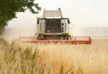 OGM, associazioni ambientaliste e agricole contro il nuovo Regolamento Ue Biogas biometano agricolo Cib Fieragricola Verona 2026 OGM, associazioni ambientaliste e agricole contro il nuovo Regolamento Ue