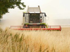 Biogas biometano agricolo Cib Fieragricola Verona 2026 OGM, associazioni ambientaliste e agricole contro il nuovo Regolamento Ue