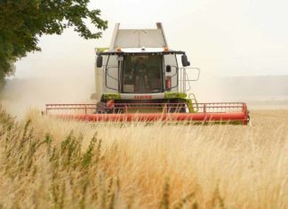 OGM, associazioni ambientaliste e agricole contro il nuovo Regolamento Ue Biogas biometano agricolo Cib Fieragricola Verona 2026 OGM, associazioni ambientaliste e agricole contro il nuovo Regolamento Ue