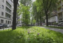 Milano accelera sulla “città spugna”: 27 cantieri contro allagamenti e siccità Milano città spugna contro allagamenti siccità