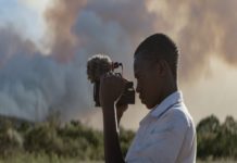 Torino, dal 3 al 7 giugno il 29° Festival CinemAmbiente cinemambiente