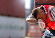 Wwf sul riscaldamento globale: “La crisi climatica avanza, agire subito”