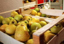 Emilia-Romagna, raddoppia il Bando sul recupero alimentare