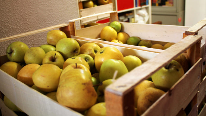 emilia-romagna bando recupero alimentare