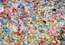 Università di Padova, trovate microplastiche nel liquido seminale microplastiche nel liquido seminale