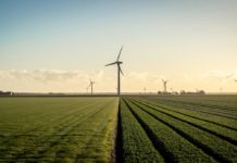 Giornata dell’energia pulita: le rinnovabili risorsa democratica energia pulita