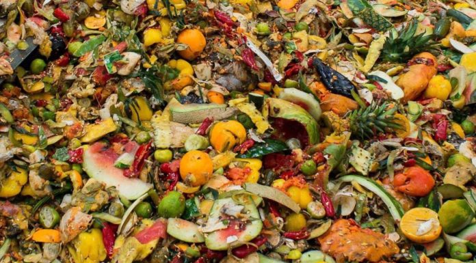 Dieci anni di legge contro lo spreco alimentare: bilancio positivo anche qualitativamente