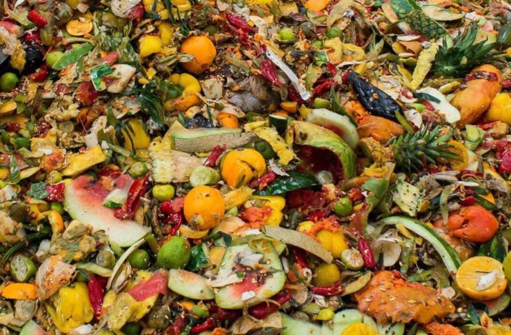 Dieci anni di legge contro lo spreco alimentare: bilancio positivo anche qualitativamente Spreco alimentare, in Italia vale 13,5 miliardi di euro