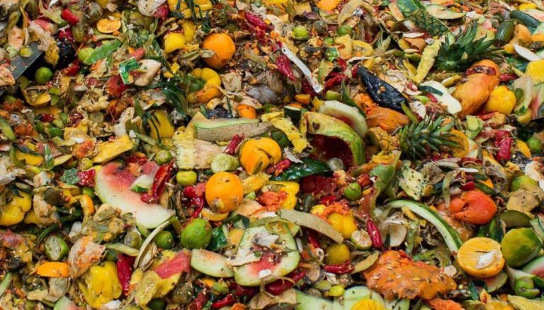 Dieci anni di legge contro lo spreco alimentare: bilancio positivo anche qualitativamente