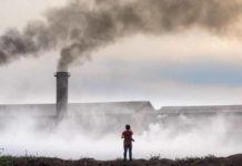 Ambiente e salute: il Wwf al Senato richiama l’attuazione della riforma costituzionale Ambiente salute Wwf Senato riforma costituzionale