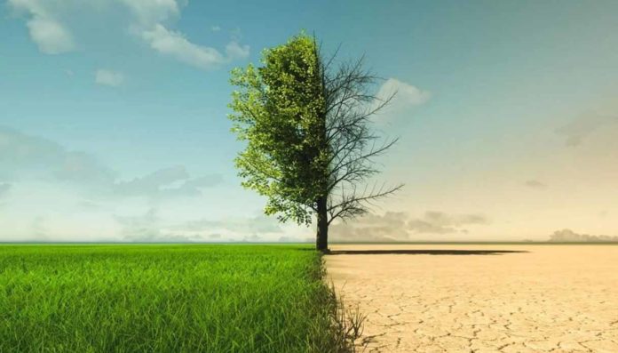 Avviata la fase di scoping del Piano Nazionale di Ripristino della Natura Avviata la fase di "scoping" del Piano Nazionale di Ripristino della Natura