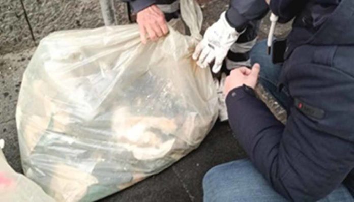 Catania rifiuti fuori orario sacchi irregolari 39 multe