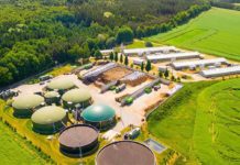 Forti preoccupazioni del Consorzio Italiano Biogas per il Decreto Bollette