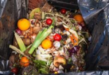 Giornata spreco alimentare, Wwf: “In Italia progressi ancora troppo lenti” Giornata spreco alimentare, Wwf: "In Italia progressi ancora troppo lenti"