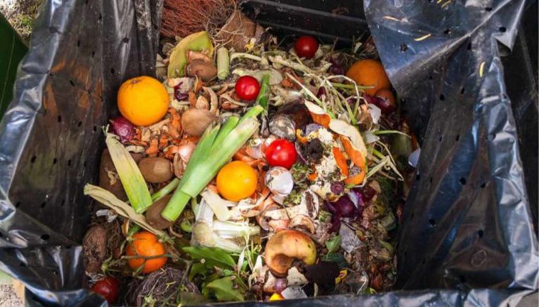 Giornata spreco alimentare, Wwf: "In Italia progressi ancora troppo lenti"