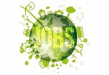 Green jobs in Italia: più assunzioni, ma cresce la precarietà Green jobs Italia