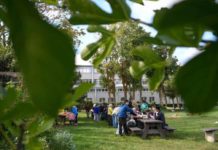 Milano Green Week 2026, dal 10 al 14 giugno la settimana dedicata al verde Milano Green Week 2026