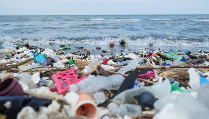 Nasce l'Alleanza dei comuni marini contro la plastica monouso