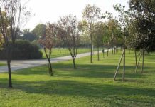 Palermo, 13 milioni per il parco lineare Notarbartolo-Malaspina-Lolli Palermo 13 milioni parco lineare Notarbartolo-Malaspina-Lolli