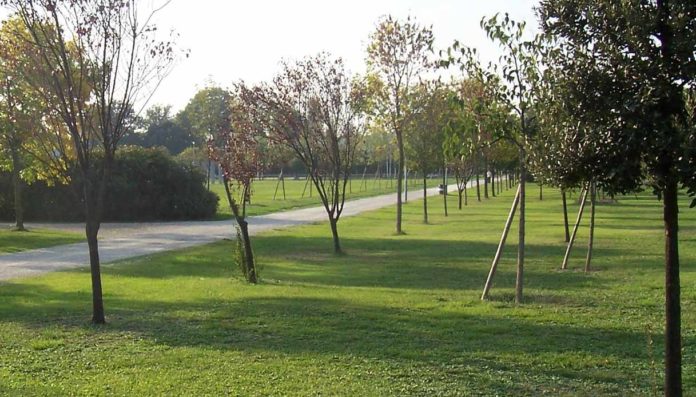 Palermo 13 milioni parco lineare Notarbartolo-Malaspina-Lolli Palermo 13 milioni parco lineare Notarbartolo-Malaspina-Lolli