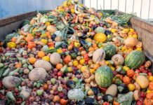 Spreco alimentare, Waste Watcher dice che l’Italia migliora ma troppo poco spreco alimentare waste watcher