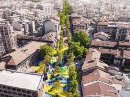 Torino modifica il Regolamento del Verde: più tutele per le alberate cittadine Torino Aurora Barriera incontri strade e spazi pubblici Torino modifica Regolamento Verde