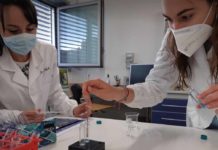 Unipi, dal pane scartato biofuel con resa al 57% Unipi pane scartato biofuel