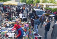 A Torino ogni anno il suq sottrae 2.300 tonnellate ai rifiuti indifferenziati