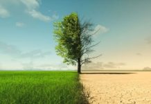 Avviata la fase di “scoping” del Piano Nazionale di Ripristino della Natura