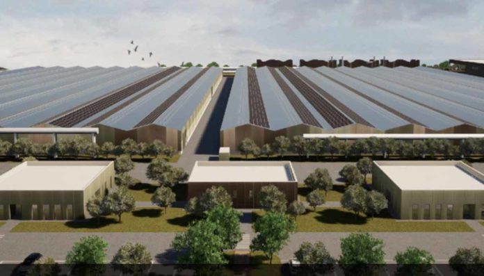 brescia no definitivo mega impianto organico