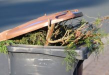 Medwise: nuove soluzioni nella gestione dei rifiuti organici rifiuti organici