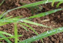 Torino, ok del Comune a un Piano dell’economia sociale cittadino Piano dell'Economia sociale