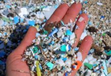 Microplastiche in mare, il primo studio sul monitoraggio è dell’Università di Palermo microplastiche mare