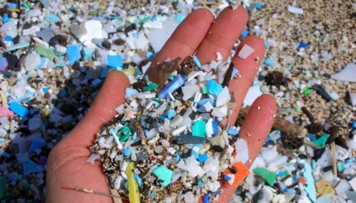 microplastiche mare