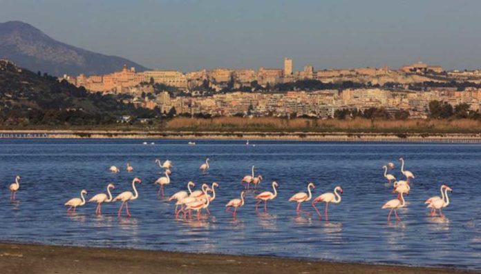 nature restoration law recepimento italia