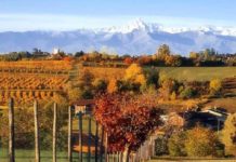 Tra Torino e Asti l’11 aprile arriva la prima “Giornata dell’Energia Sociale” prima giornata energia sociale