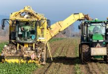 Carbon farming, a Padova il vertice europeo per la transizione agricola carbon farming